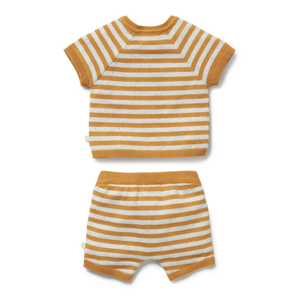 Wilson & frenchy Striped shirt and shorts set on a white background