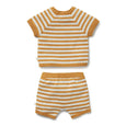 Wilson & frenchy Striped shirt and shorts set on a white background