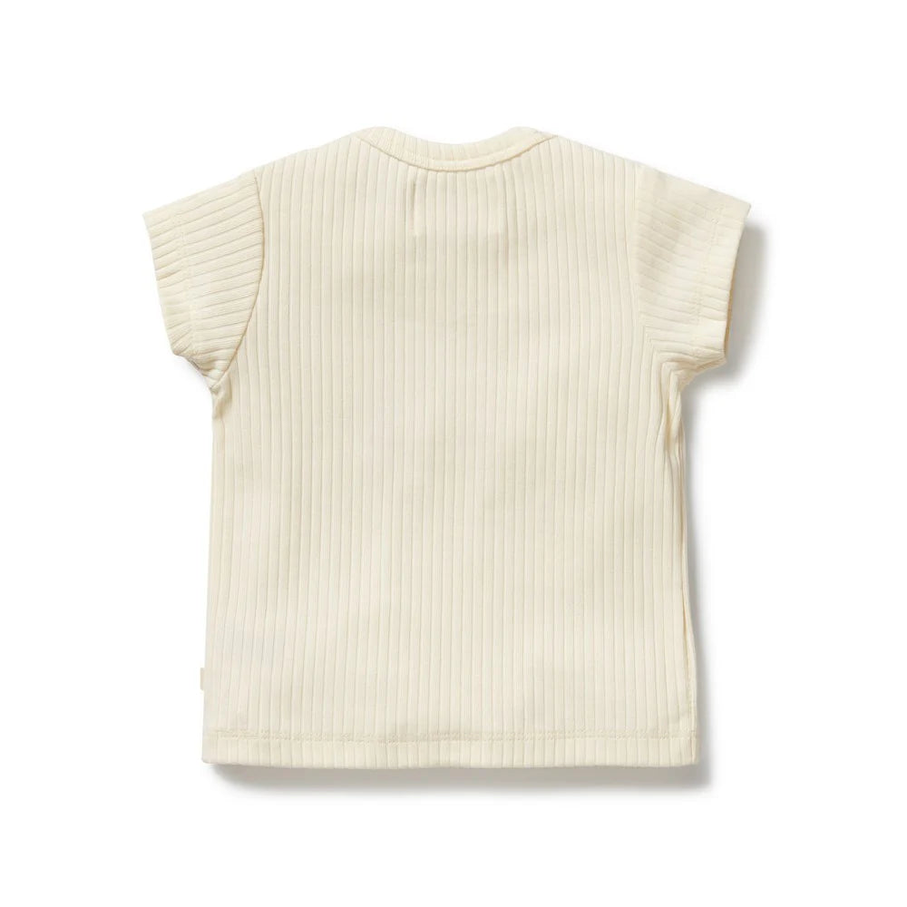 Beige ribbed sleeveless top on a white background
