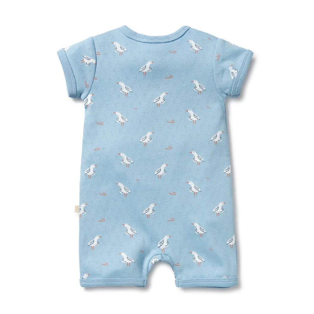 Blue Wilson & Frenchy baby romper with seagull pattern on a white background