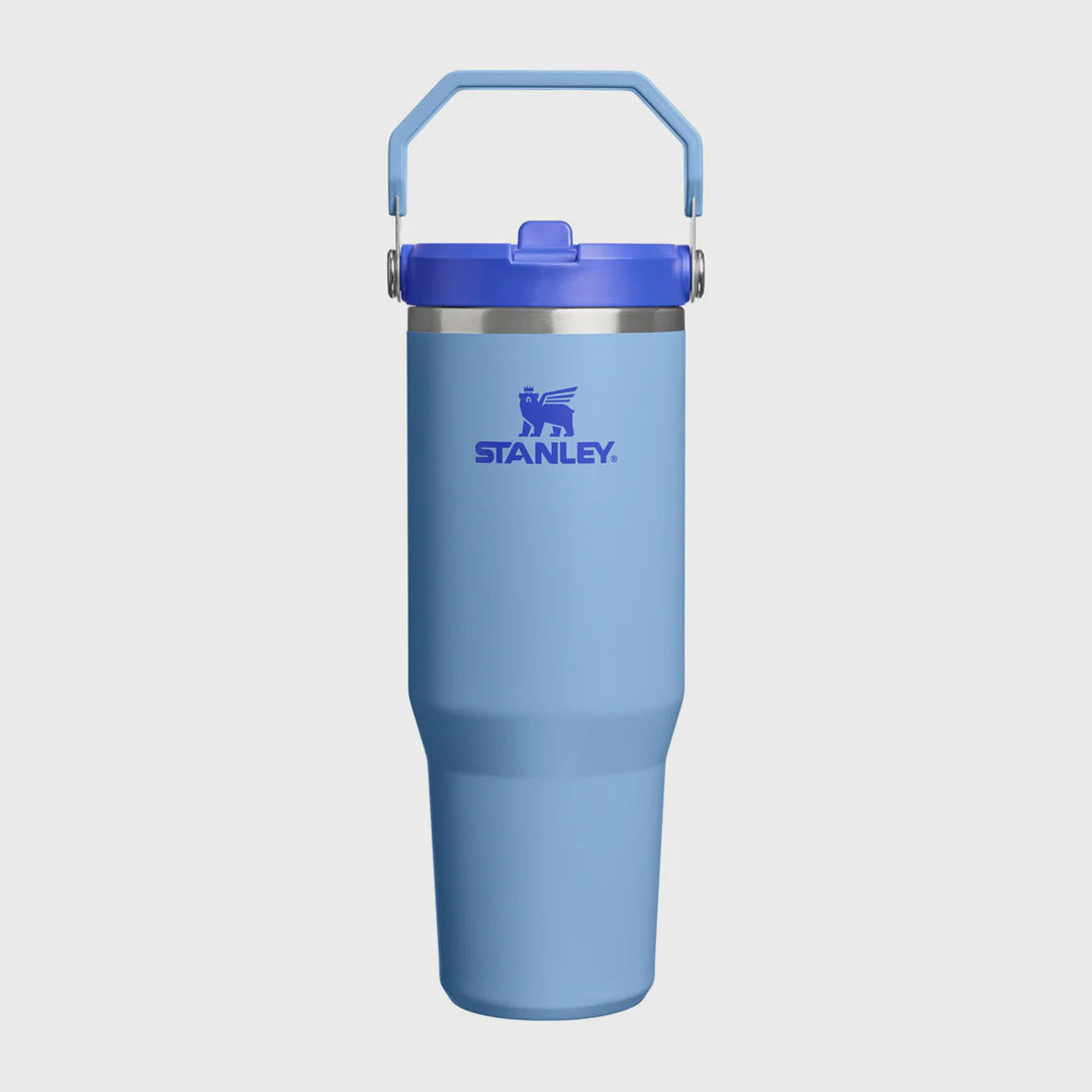 Blue Stanley tumbler with a handle on a white background