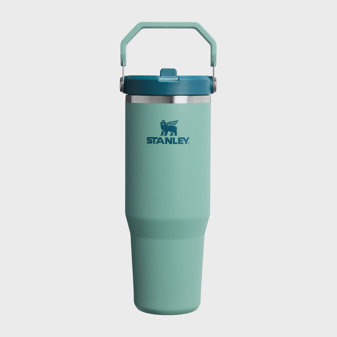 Mint green Stanley tumbler on a white background
