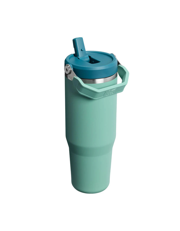 Stanley IceFlow Flip Straw 2.0 Tumbler | 30 OZ Spring Green