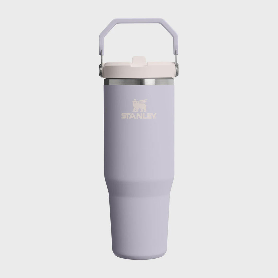 Purple Stanley tumbler on a white background