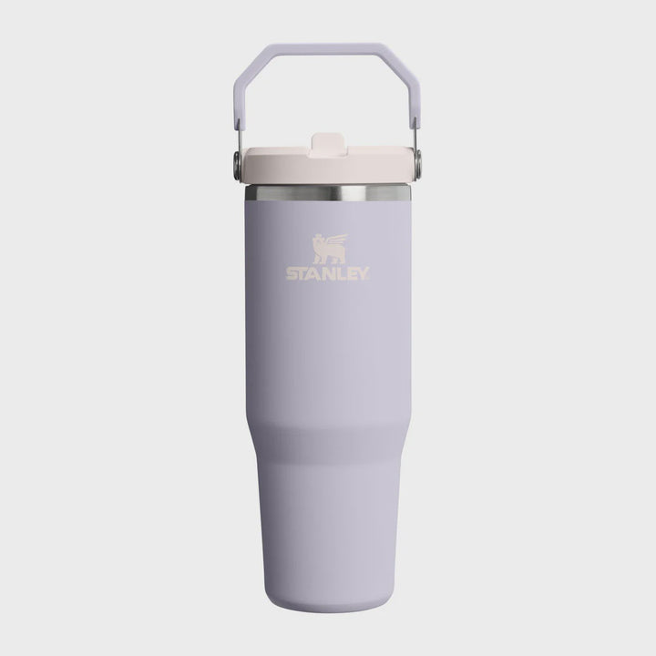 Purple Stanley tumbler on a white background