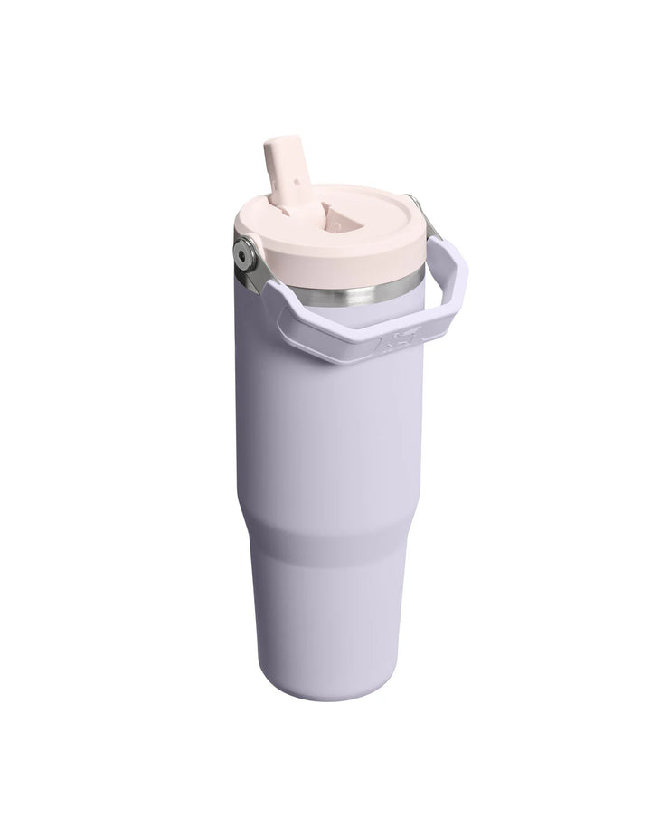 Stanley IceFlow Flip Straw Tumbler | 30 OZ Purple Dust