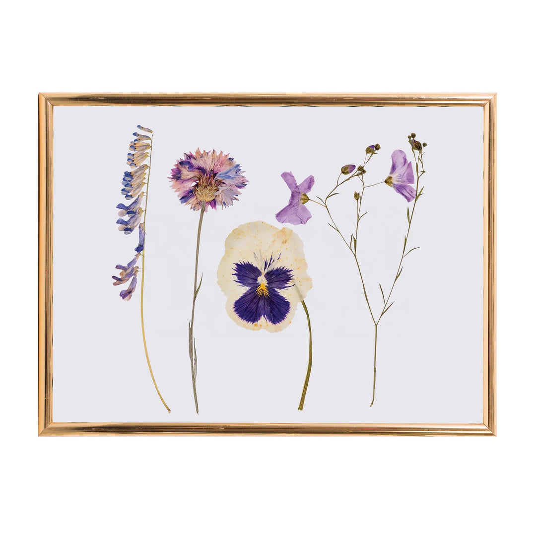 Classic Flower Press | Discovery Zone