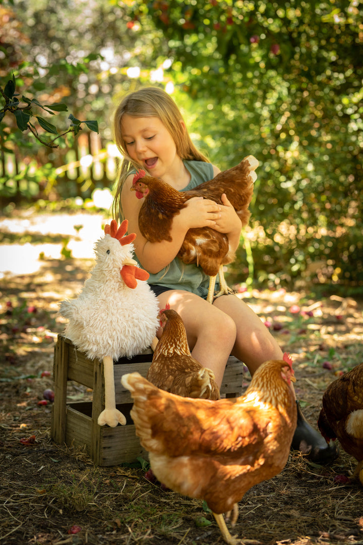 Nana Huchy roy the rooster available from www.thecollectivenz.com