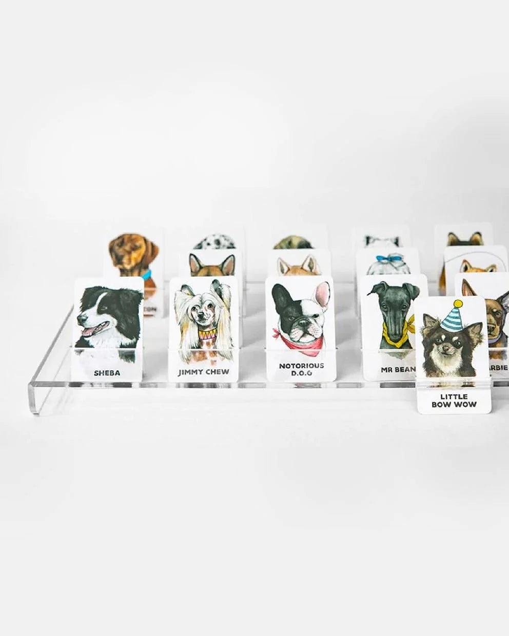 Guess the Doggy Card Game | Journey Of Something