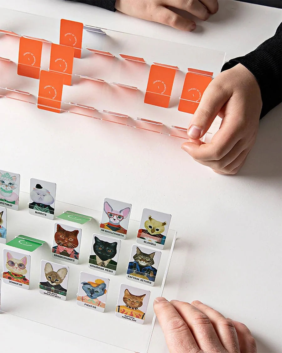 Guess the Feline Card Game | Journey Of Something