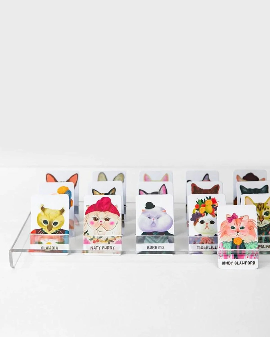 Guess the Feline Card Game | Journey Of Something