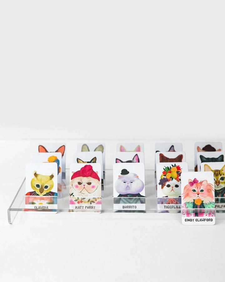 Guess the Feline Card Game | Journey Of Something