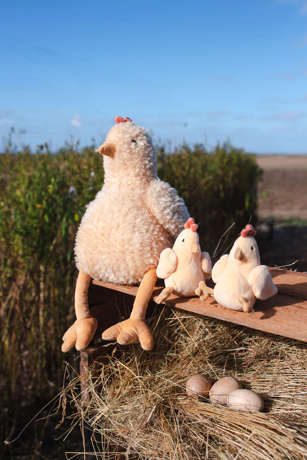 Harriet the Hen - Honey
