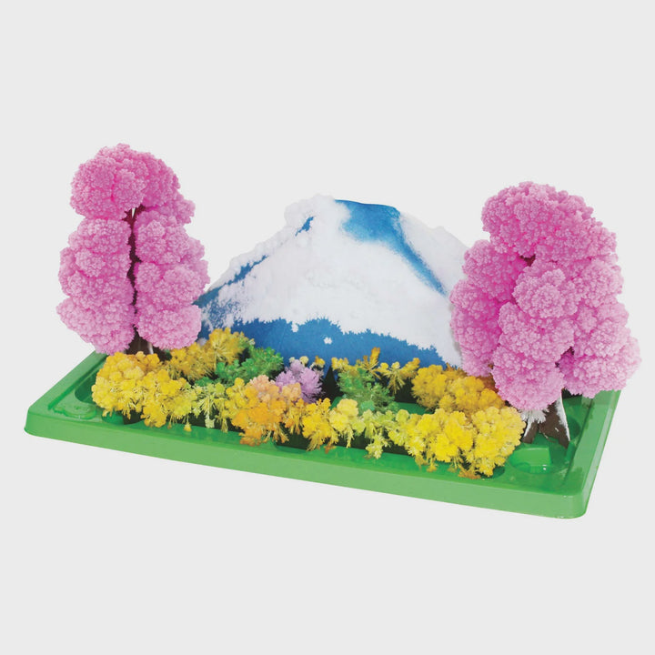 Magic Crystal Garden | Discovery Zone