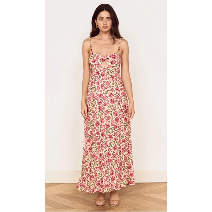 Chintz Floral Posy Midi Dress | Minkpink