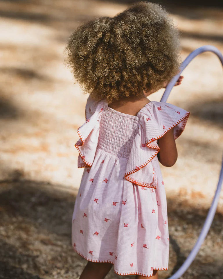 Songbird Embroidered Dress