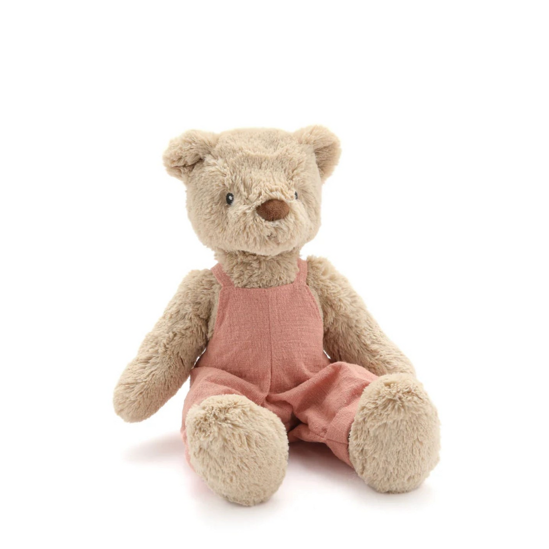 Plush teddy bear wearing pink overalls on a white background