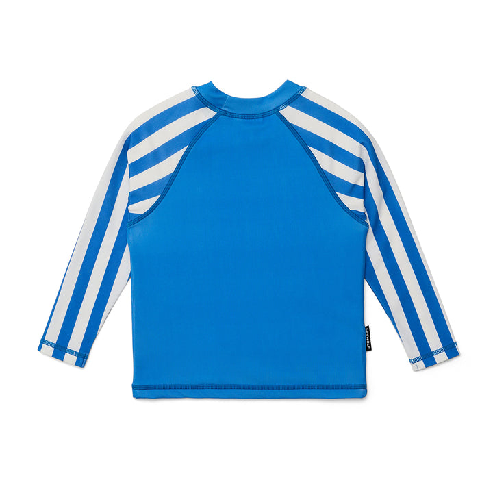 Blue and white striped long-sleeve rash vest on a white background