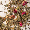 Assorted dried herbs and flowers on a light background
