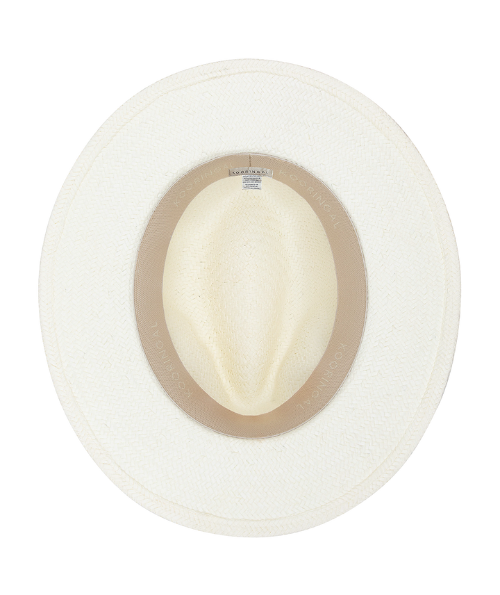 White fedora hat with brown band on a white background