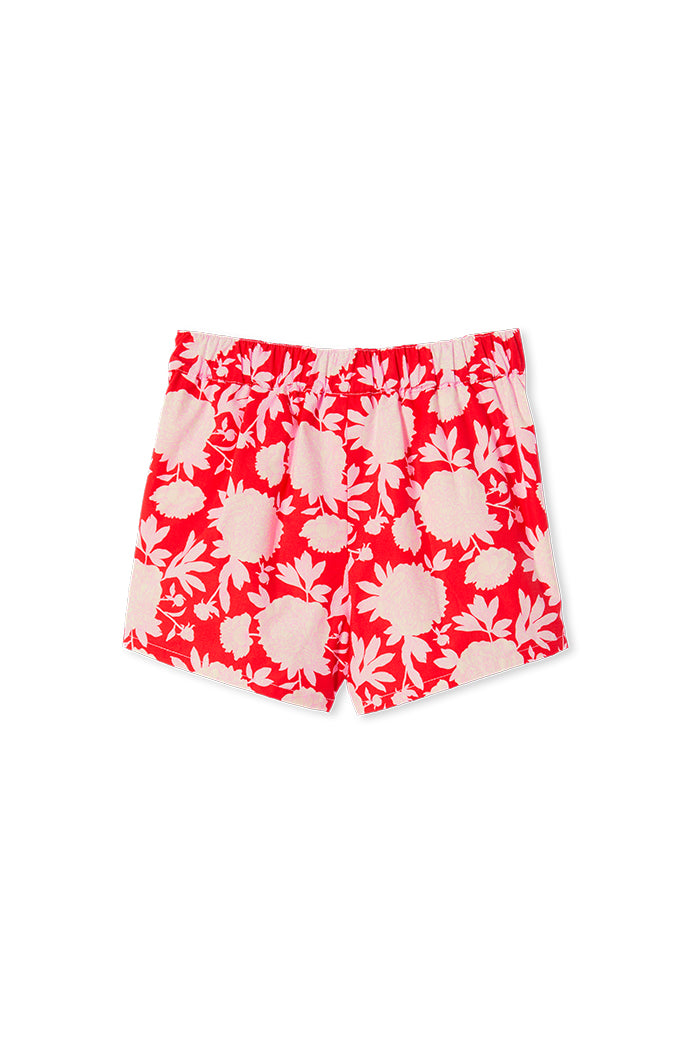 Milky Raspberry shorts available from www.thecollectivenz.com