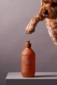 Ashley & Co awoof dog shampoo available from www.thecollectivenz.com