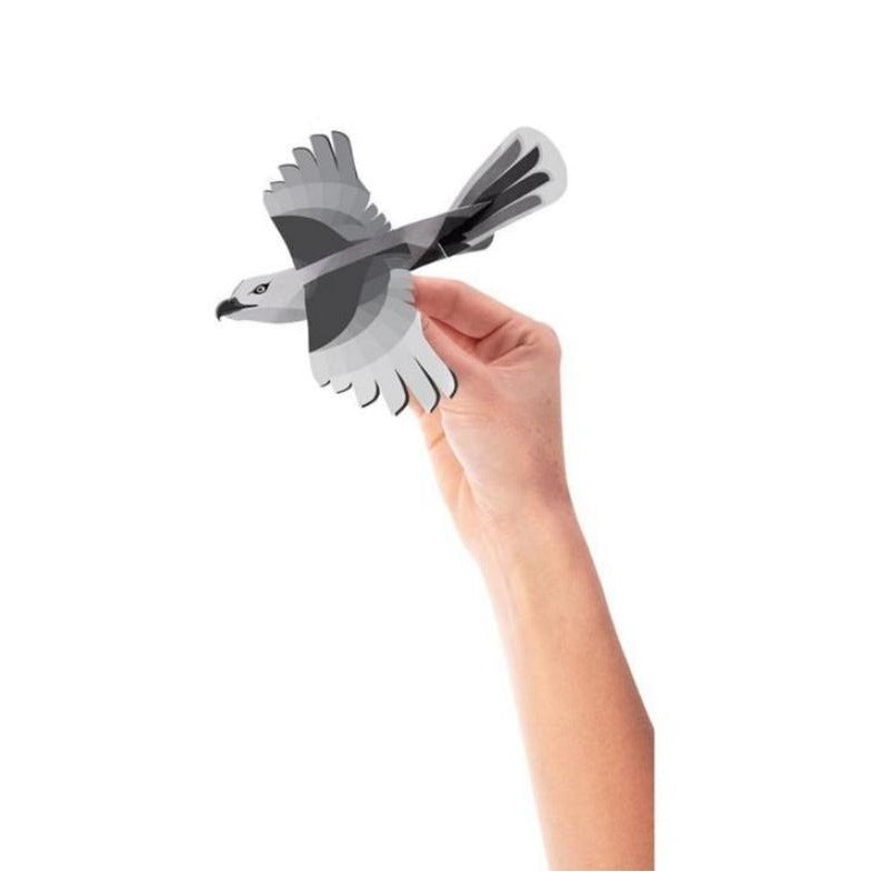 IS Gift soaring sea eagle available from www.thecollectivenz.com