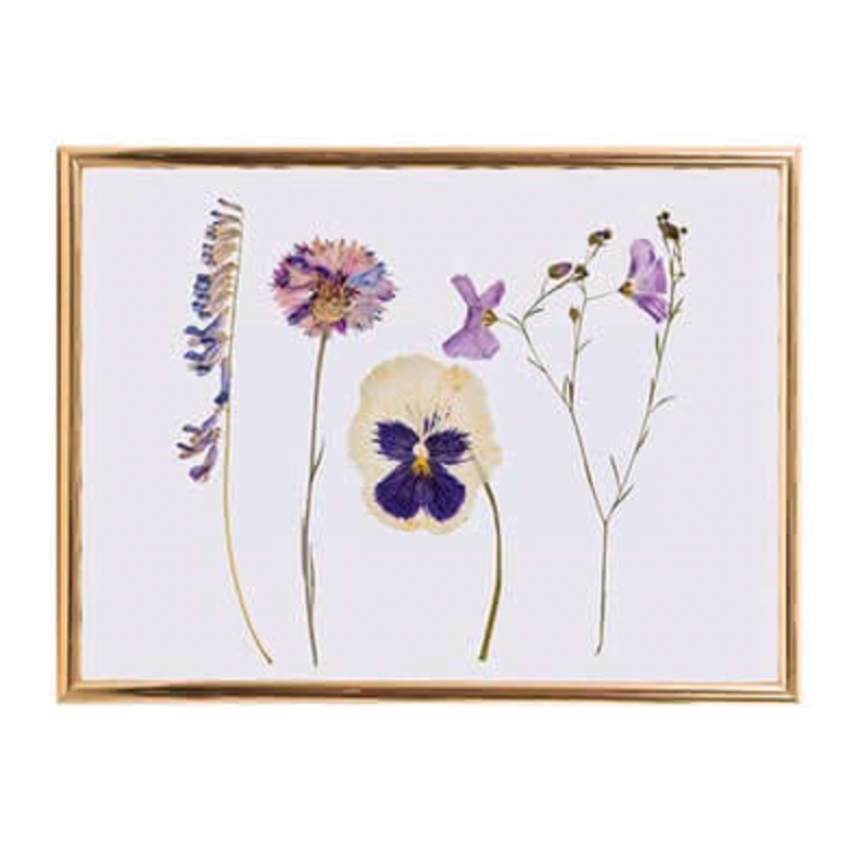 IS gift flower press available from www.thecollectivenz.com