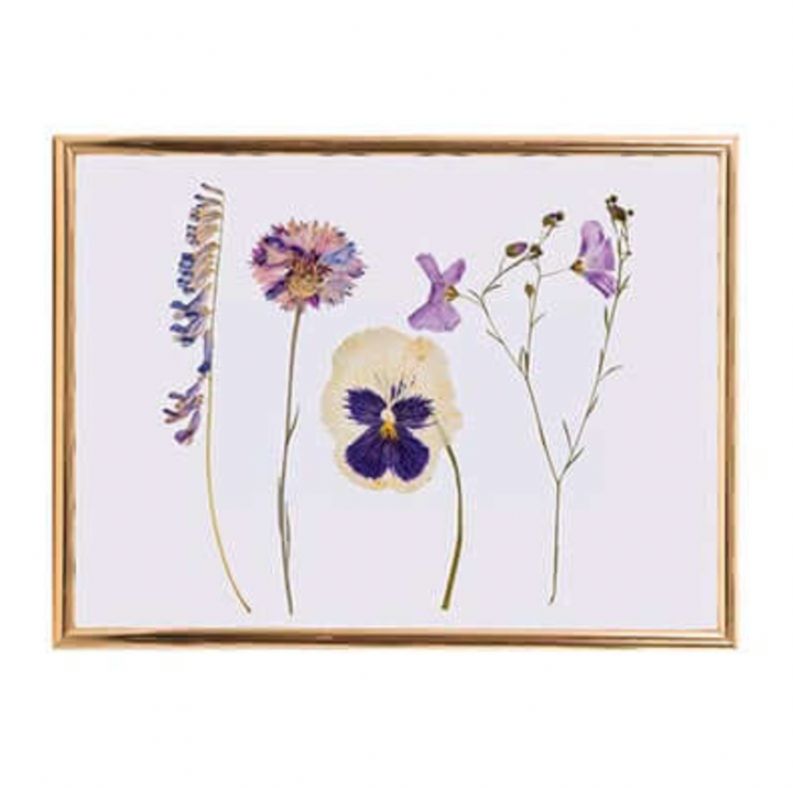 IS gift flower press available from www.thecollectivenz.com