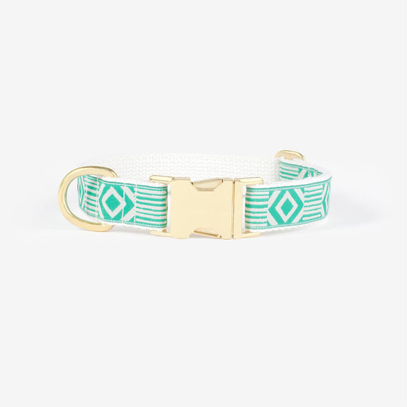 Out of the Box - Teal & cream Collar